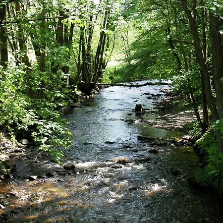 In Peaceful Setting And Large Garden *